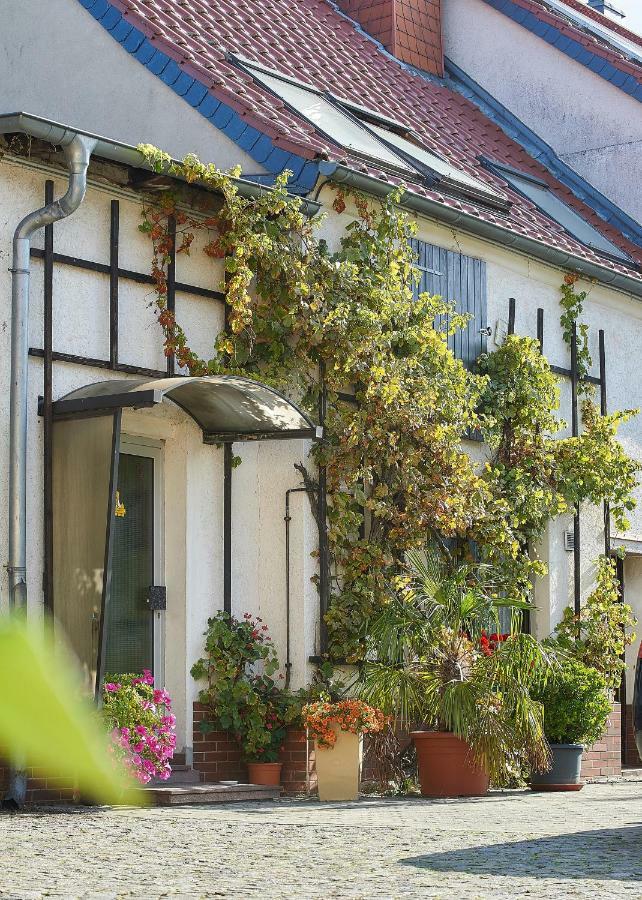 Reiterhof Wollnau Apartment Exterior photo
